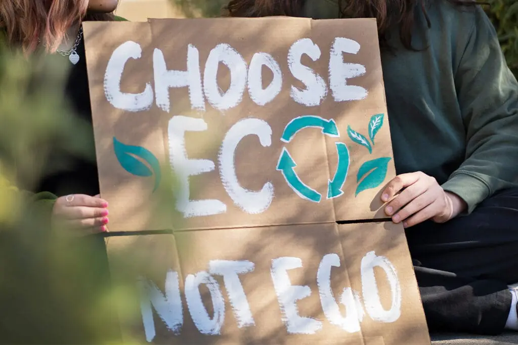 impacto de la sustentabilidad en la decisión de compra del consumidor en México